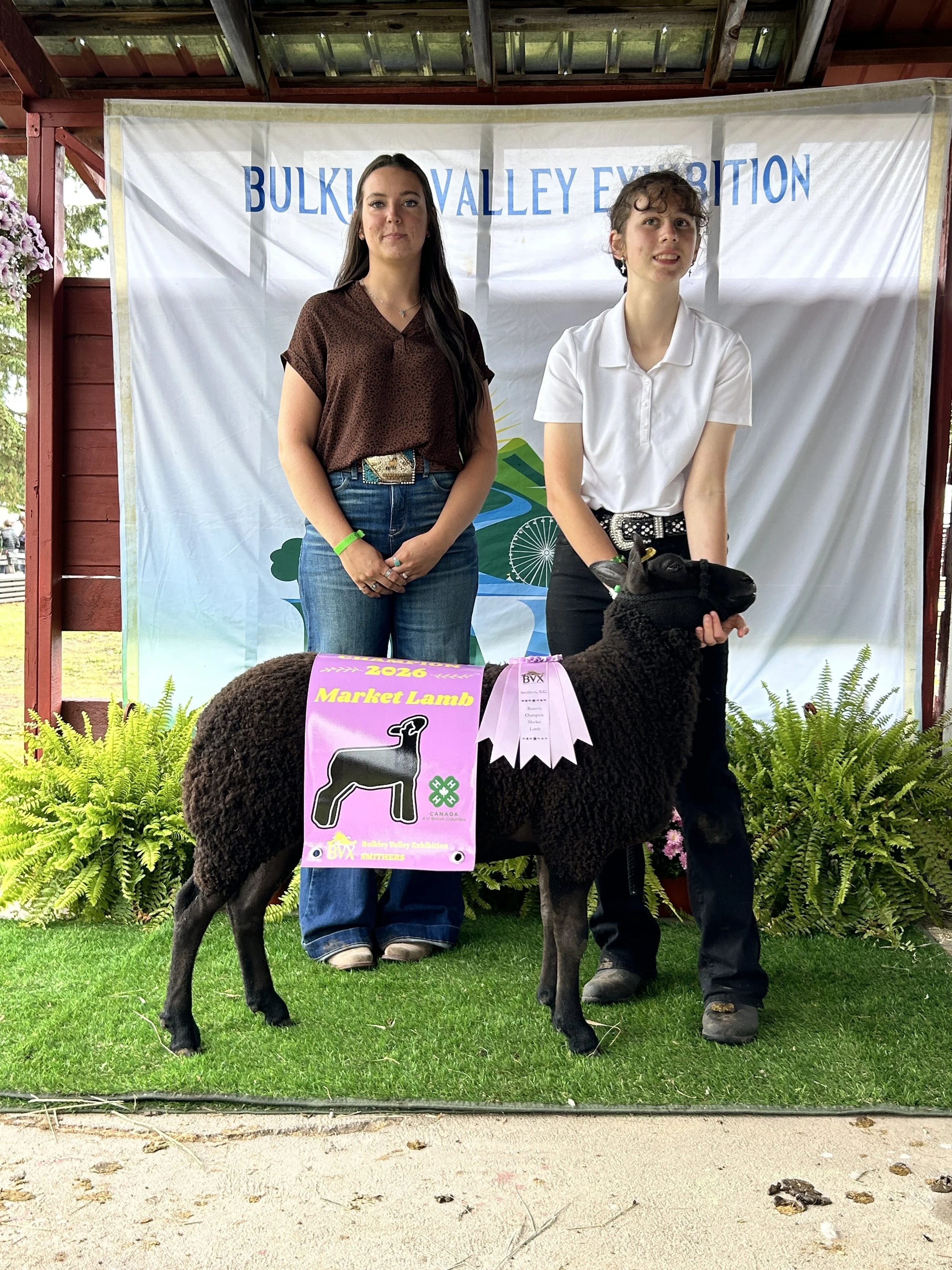 Reserve Grand Champion Market Lamb