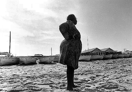 Sea Shells by the Sea Shore. VA copy.jpg