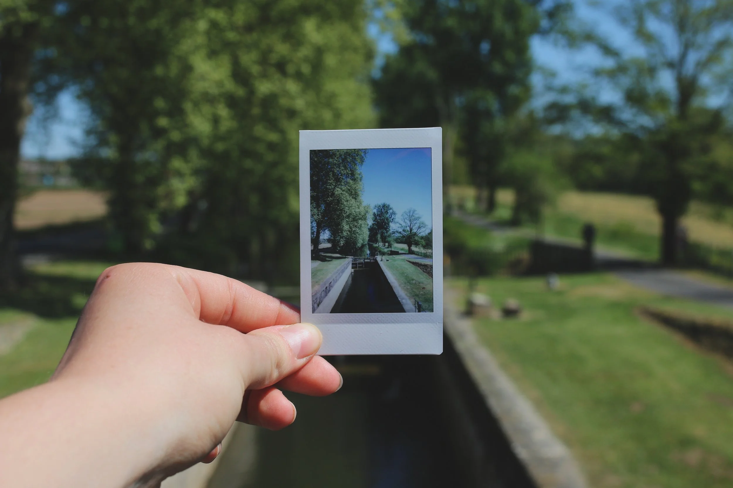 Image of hand holding Polaroid photo of landscape scene