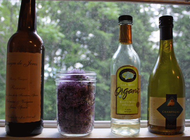 Which vinegar you choose to use might just depend on what you've got on hand...