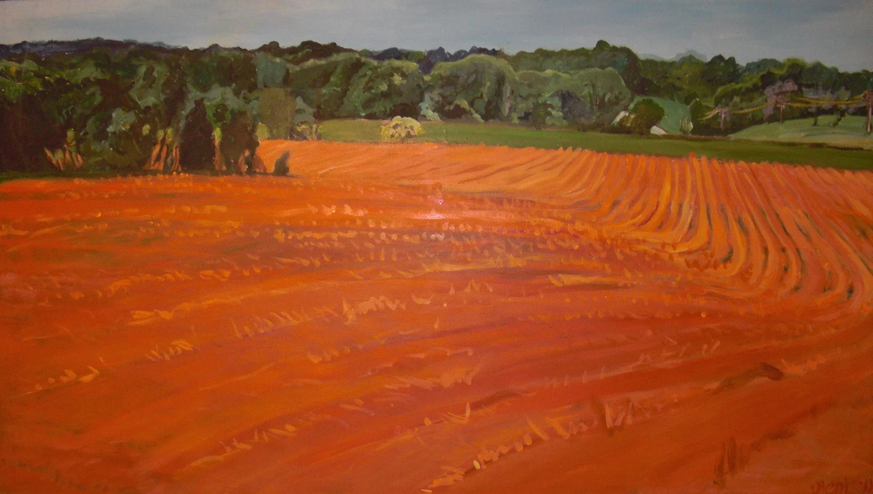Maple View Red Clay Fields REDUX (2).jpg