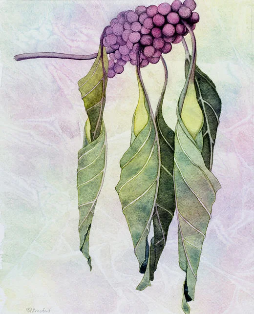Jade by Anna Crawford