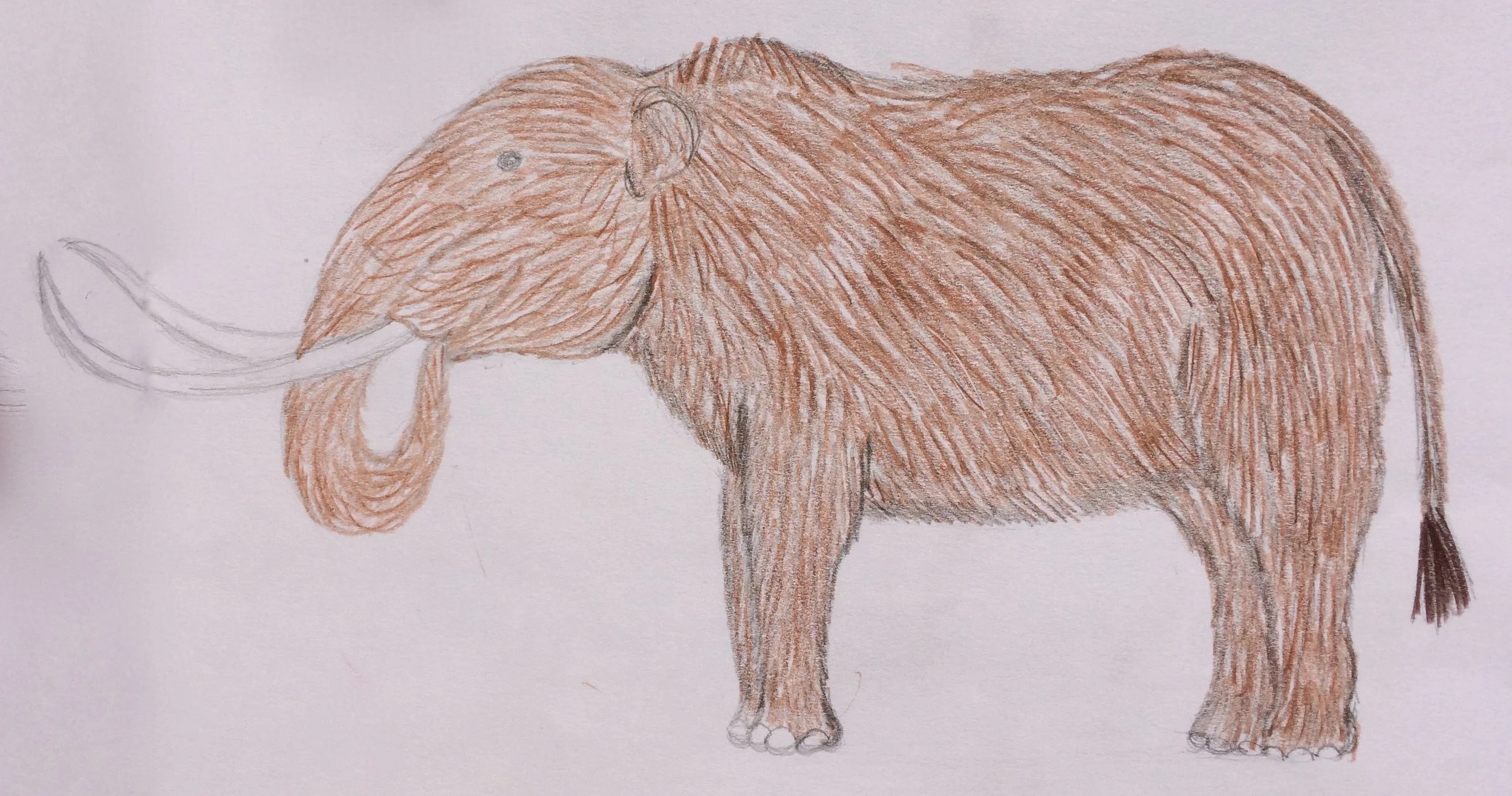 Mastodon.jpg