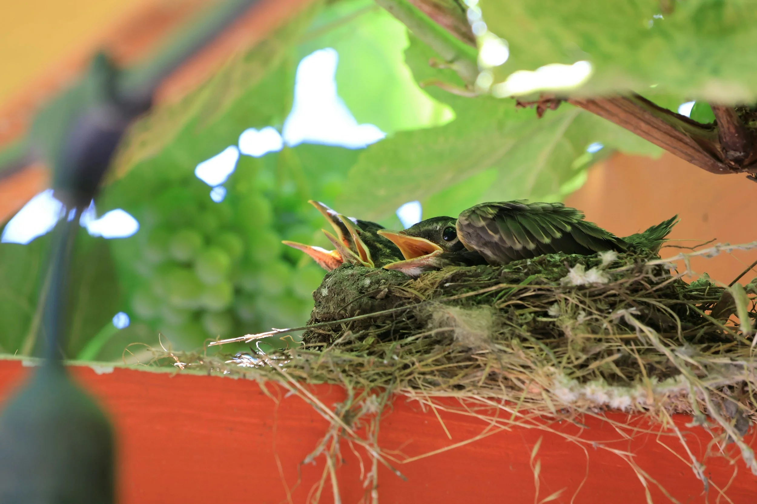 Our Student Leaves the Nest