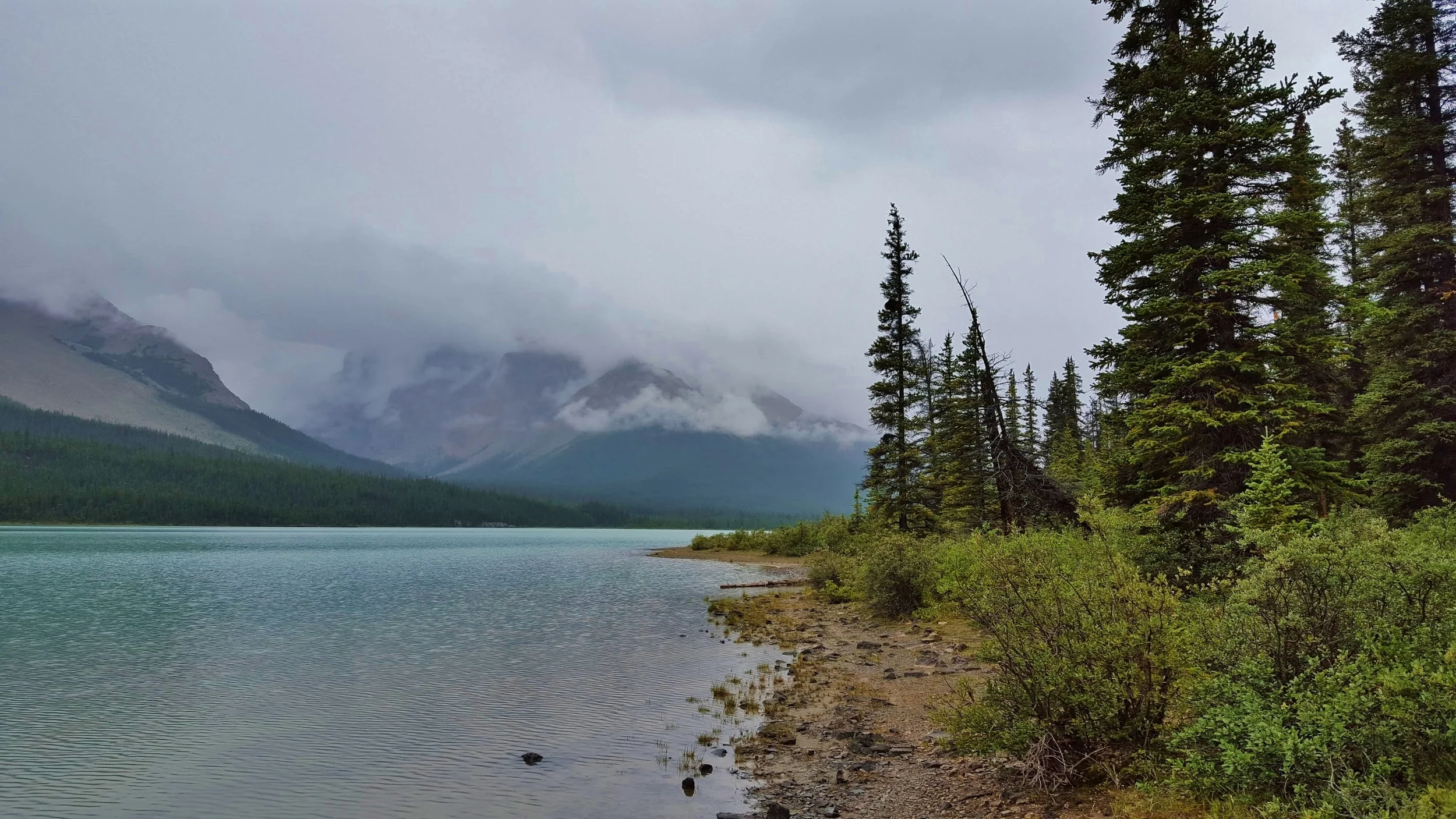 20150815_170526_001-EFFECTS.jpg