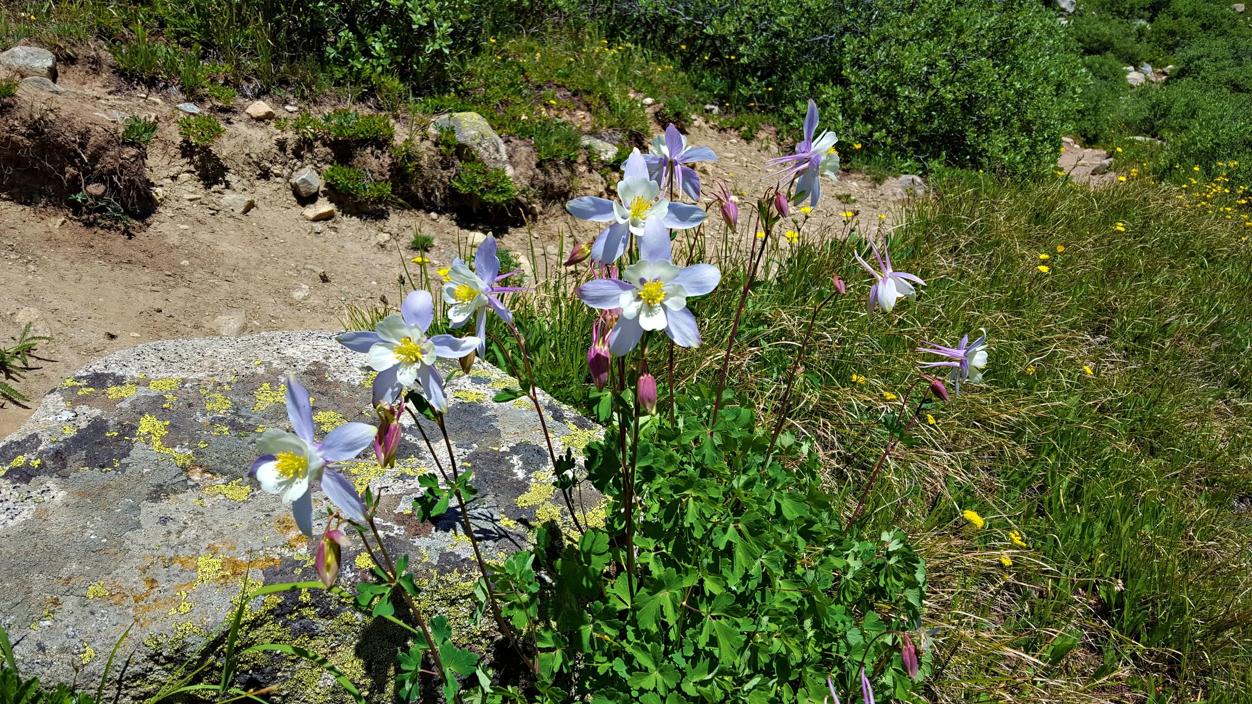 20160709_111518.jpg