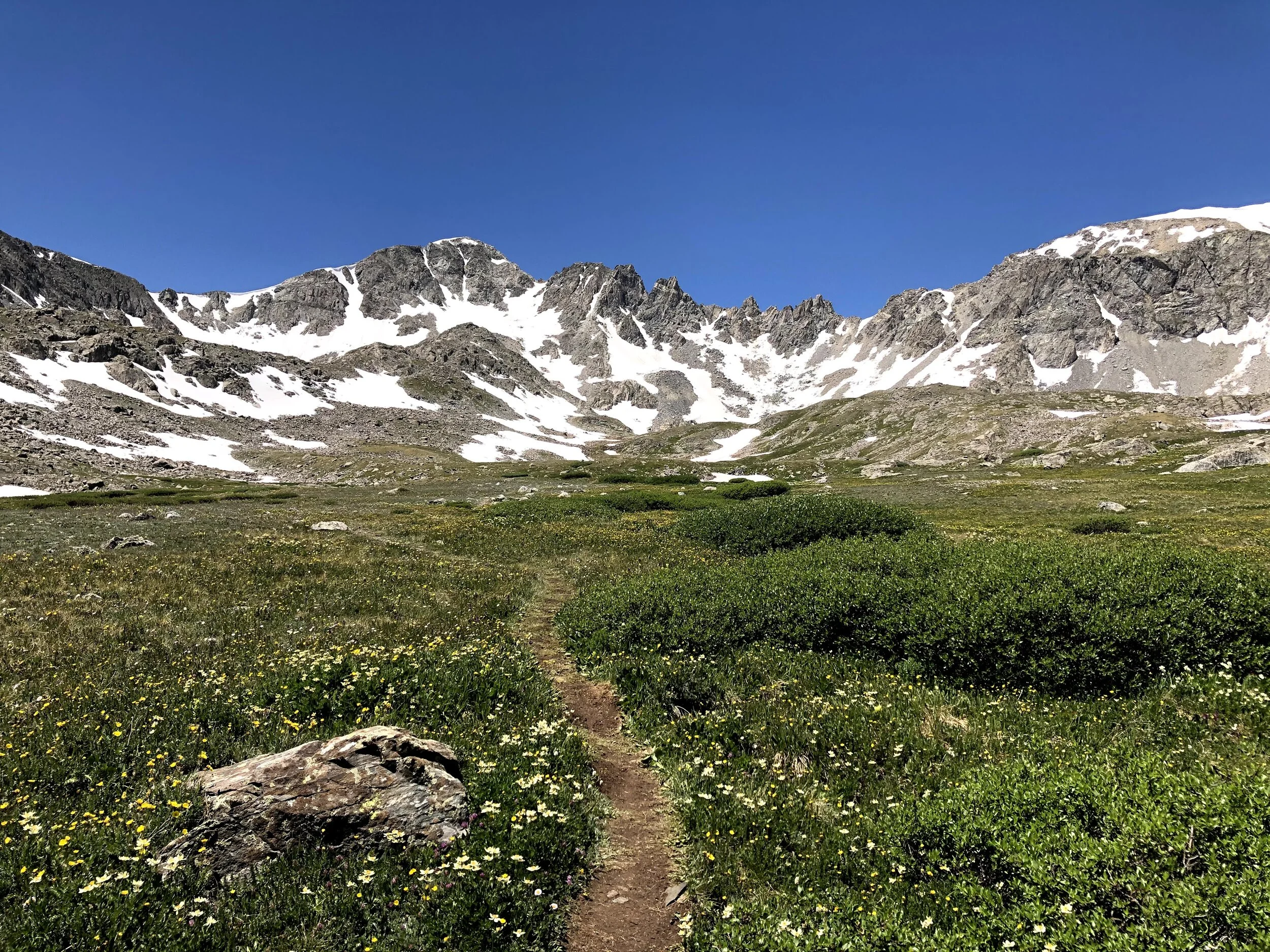 McCullough Gulch Trail - Mount Evans Wilderness