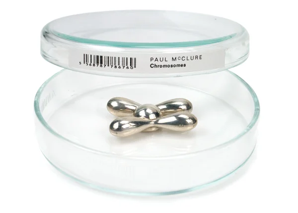 02_McClure_Chromosomes_brooch.jpg