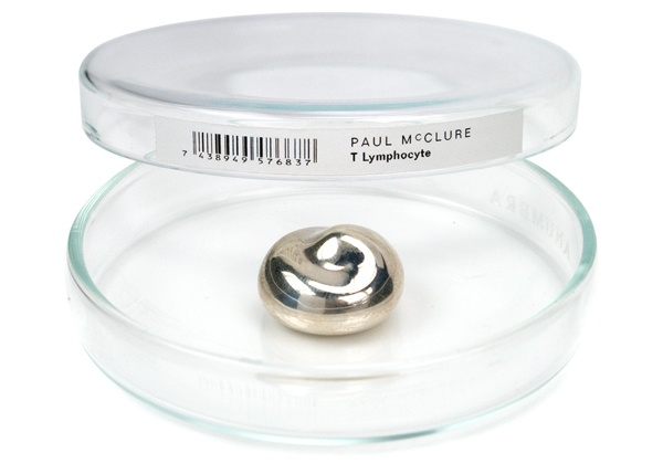 06_McClure_TLymphocyte_brooch.jpg