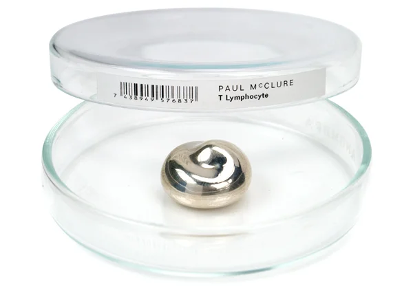 06_McClure_TLymphocyte_brooch.jpg