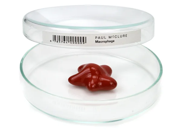 07_McClure_Macrophage_brooch.jpg
