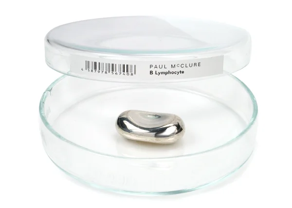 08_McClure_B-Lymphocyte_brooch.jpg