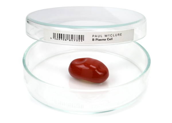 10_McClure_B-Plasma_brooch.jpg