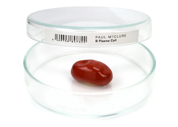10_McClure_B-Plasma_brooch.jpg