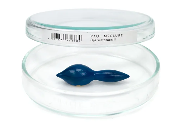 14_McClure_Spermatozoon2_brooch.jpg