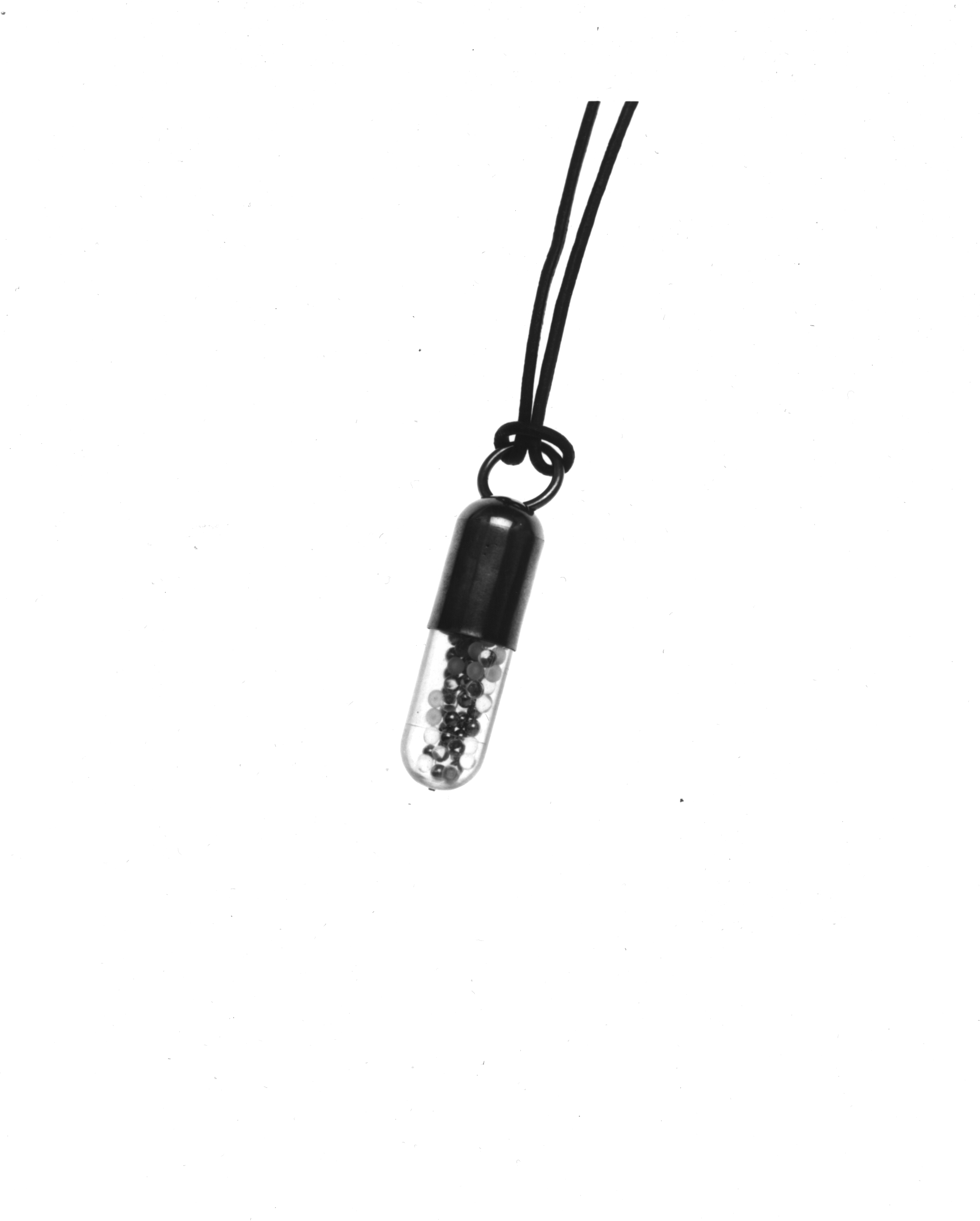 14_MementoMori_Capsule_necklace.jpg