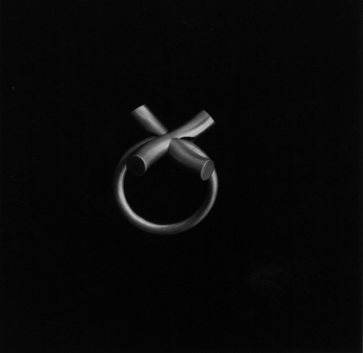 11_Corpus_ring1.jpg