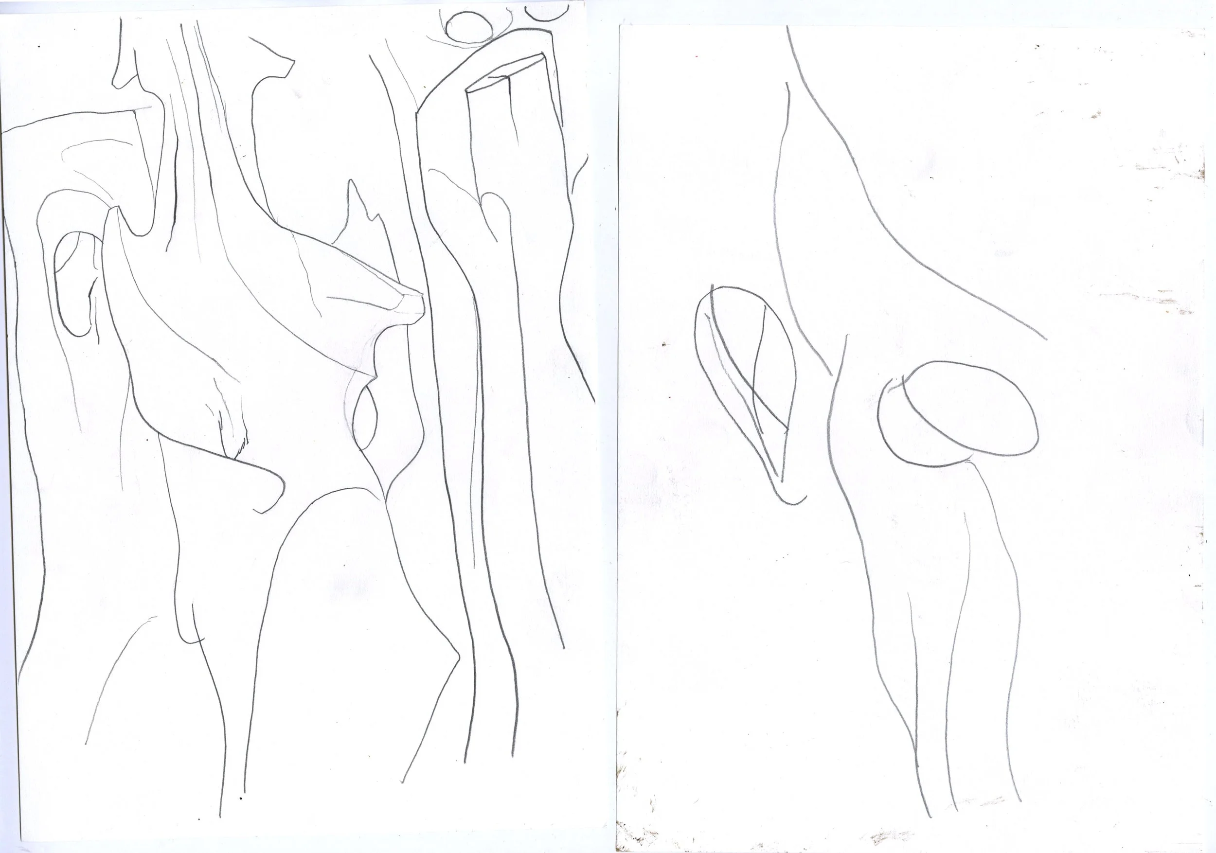 scan 20250008.jpg