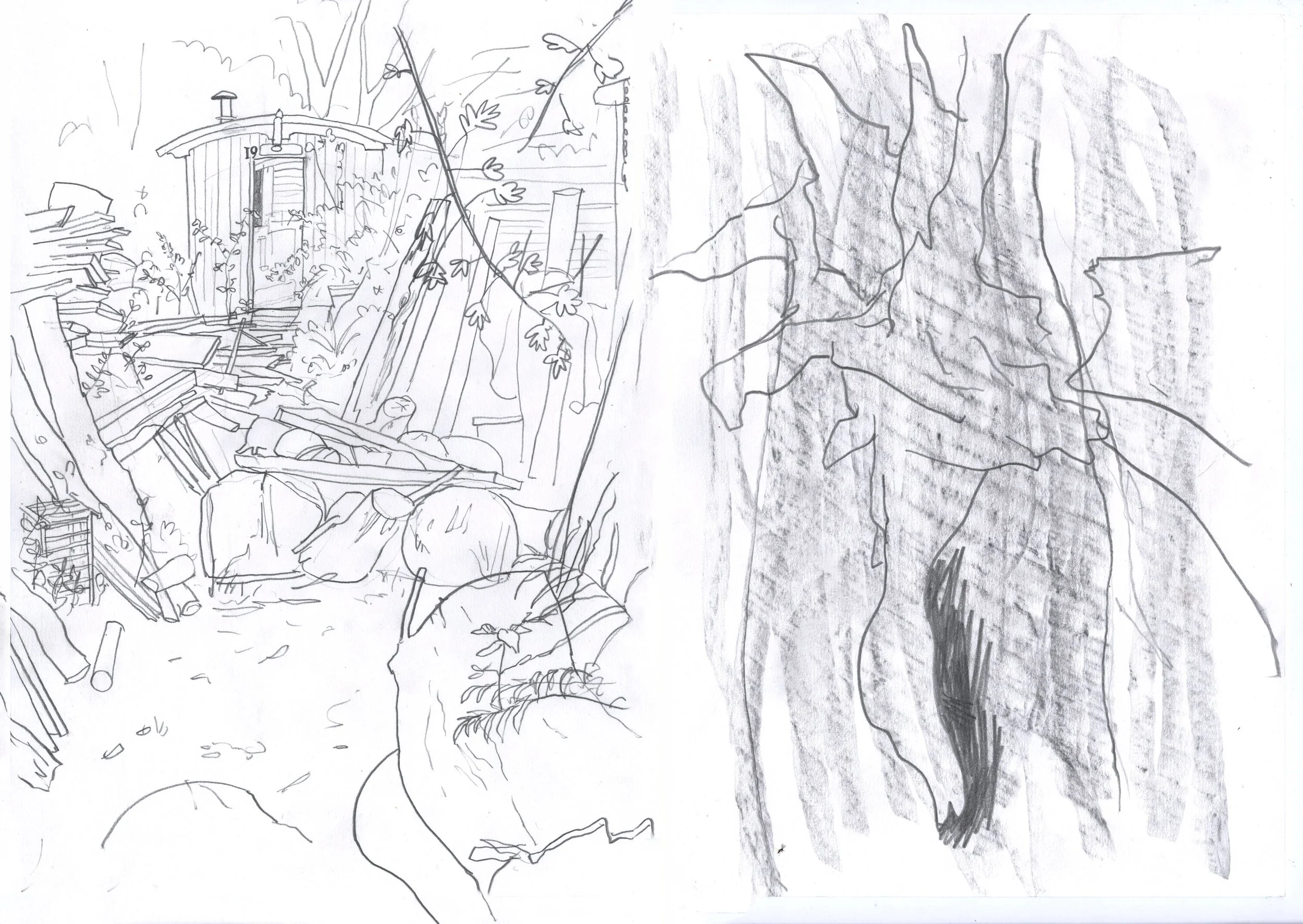scan 20250005.jpg
