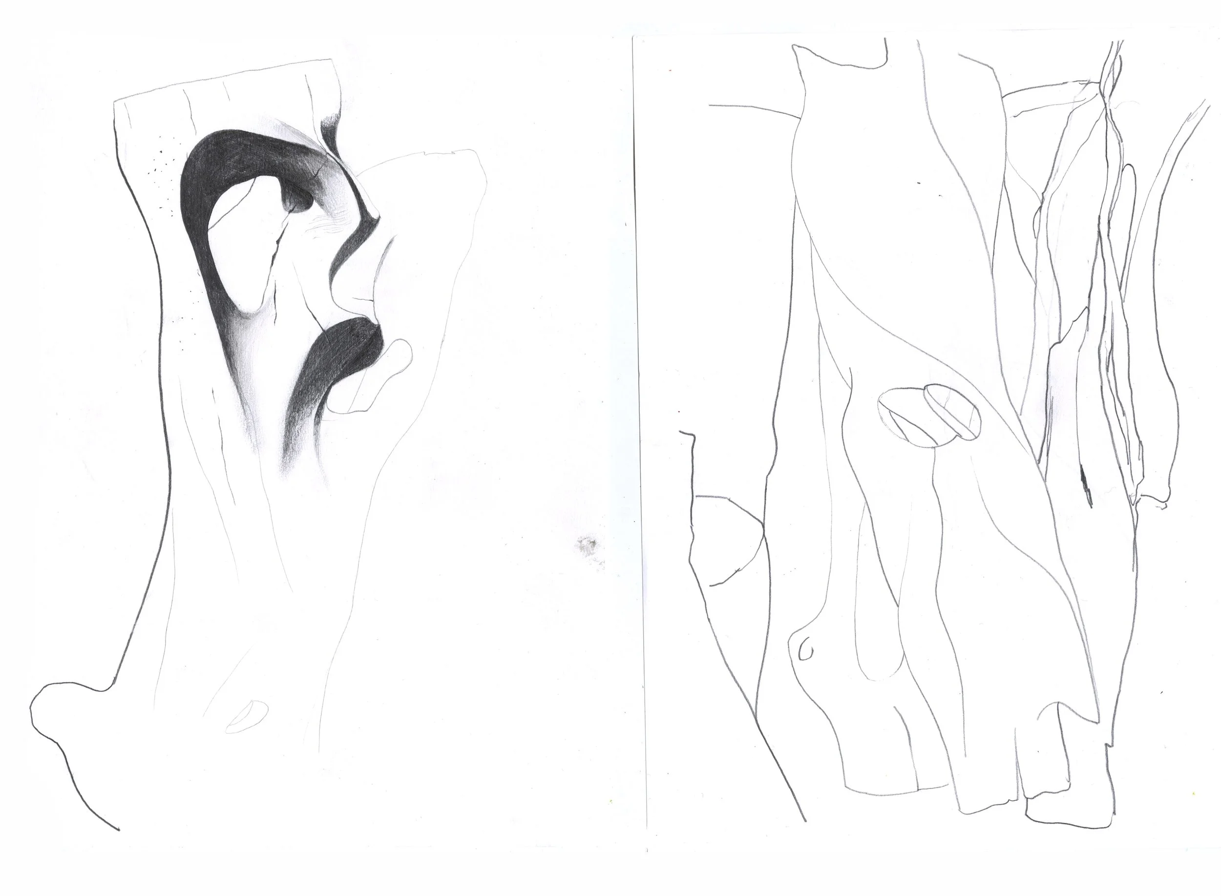 scan 20250006.jpg