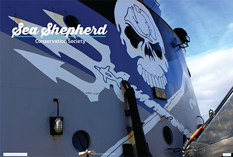 sea-shepherd-1.jpg