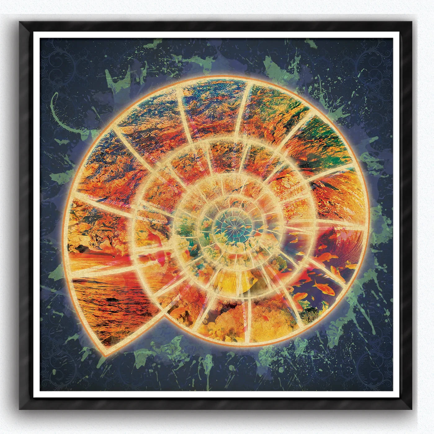 Nautilus