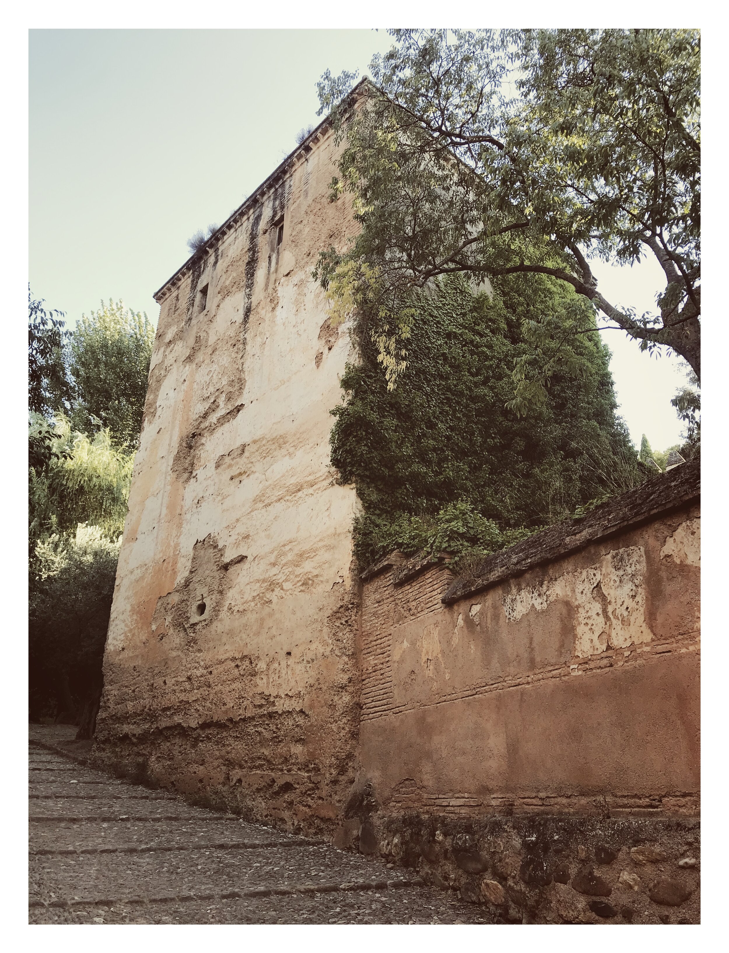 IMG_5843-1.jpeg