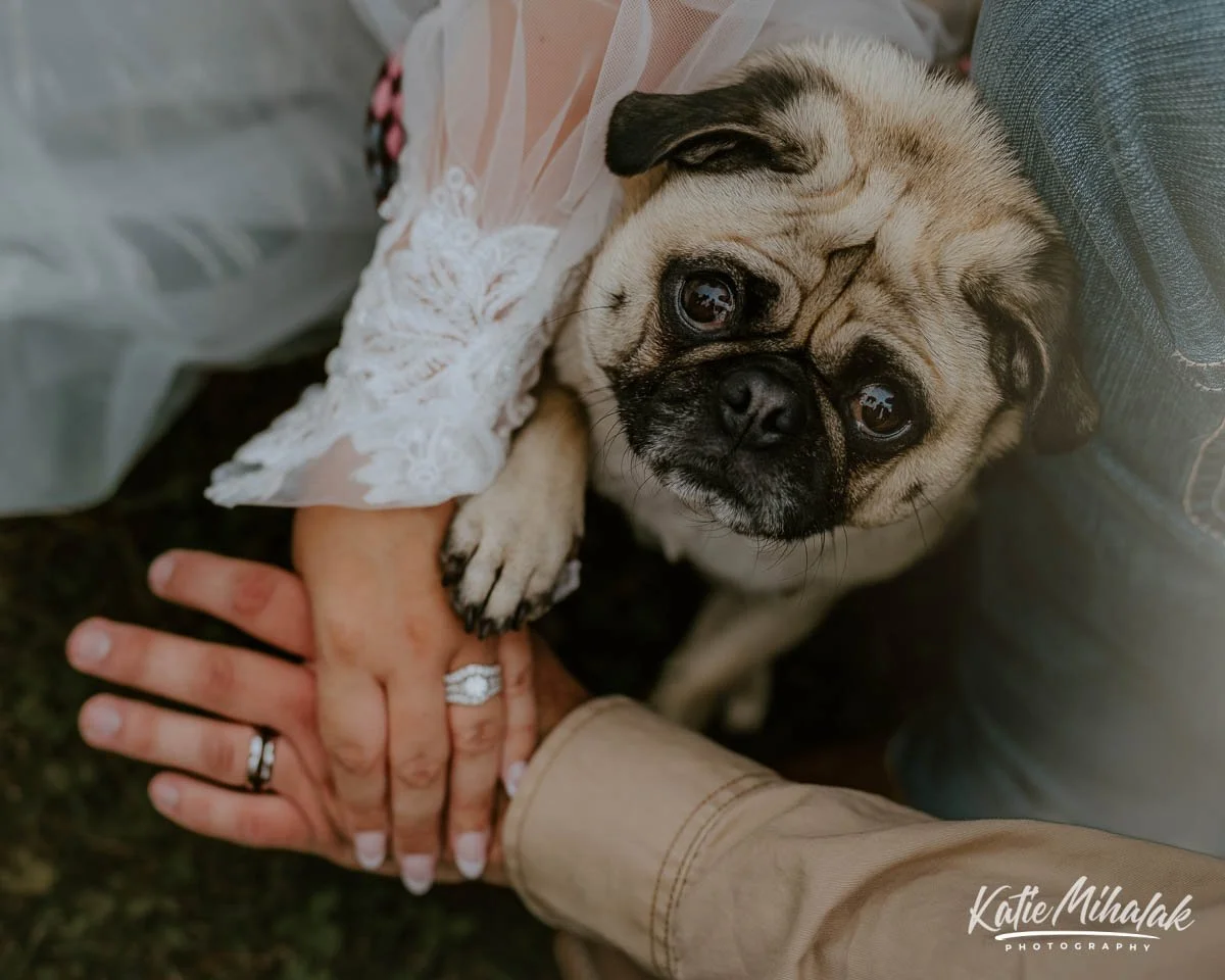 546614869_1369676658494103_8536349472230417249_n (1).jpg