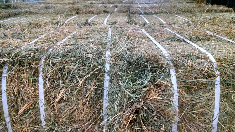 Small Square Bales Of Hay: 5 Questions Answered - Farmco