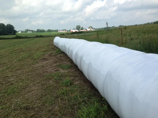 2013.7.3 Milkmaker stored away.jpg
