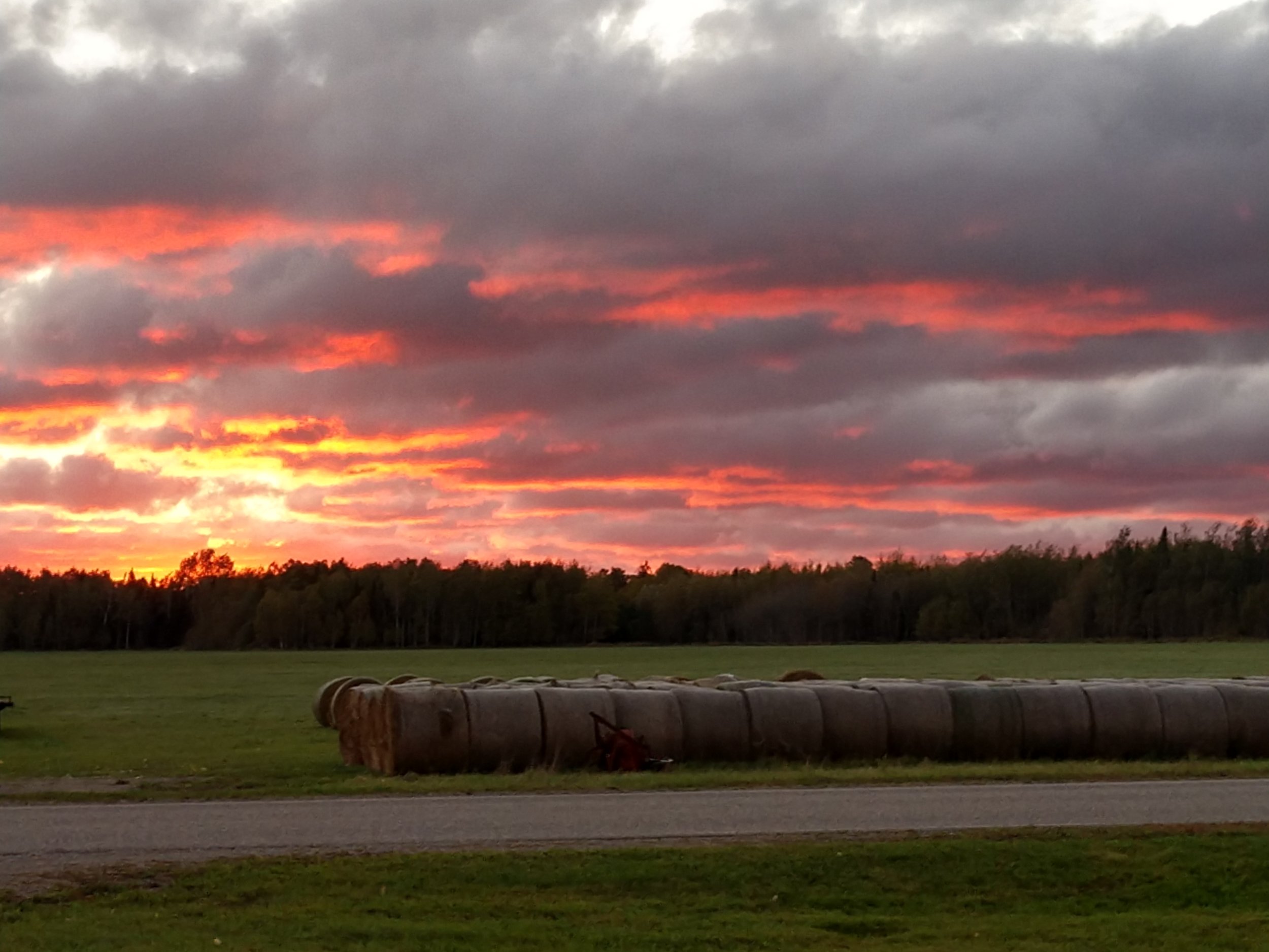 cover photo - orange sky over hay bales.jpg