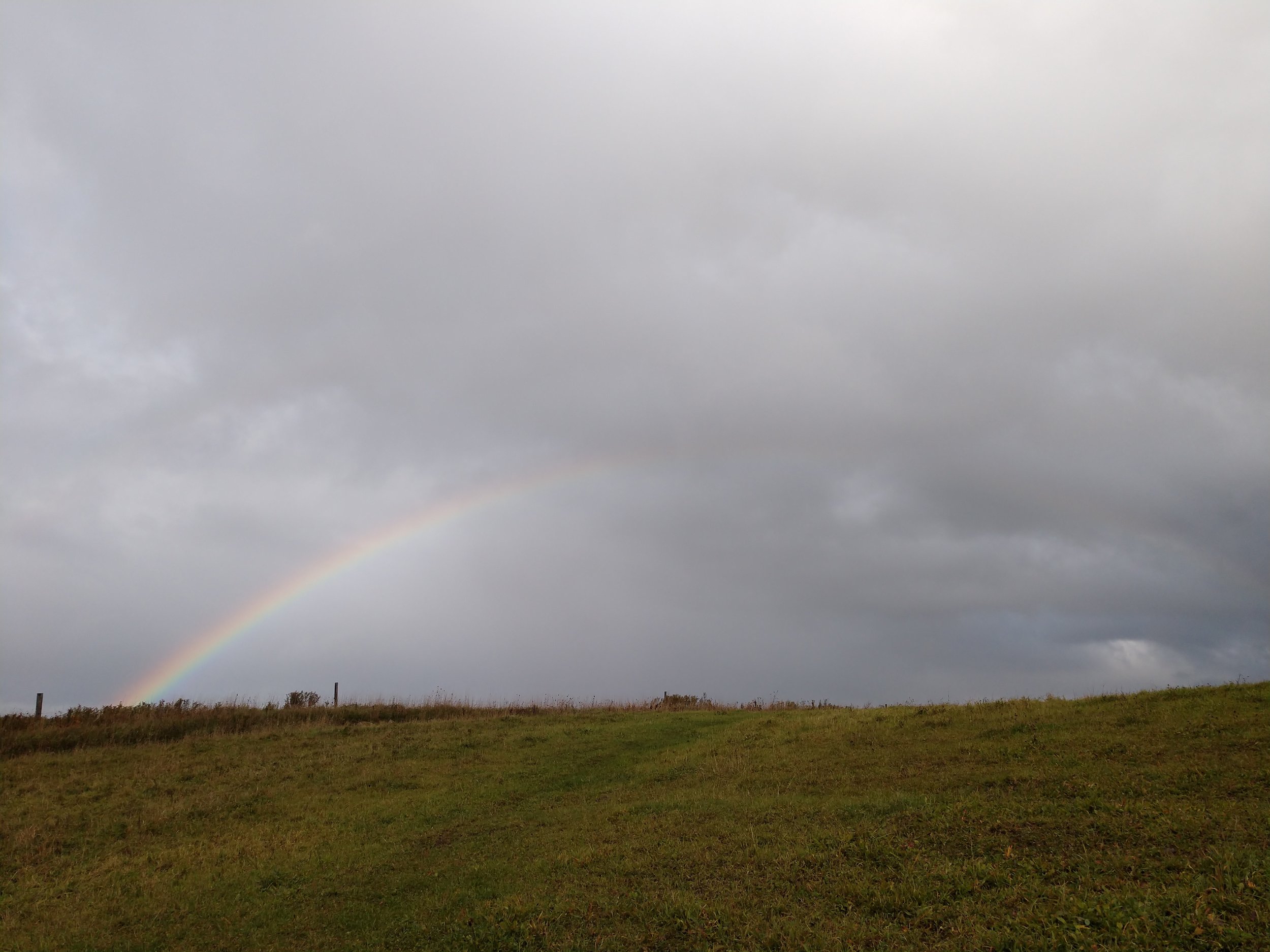 cover photo - rainbow over pasture.jpg
