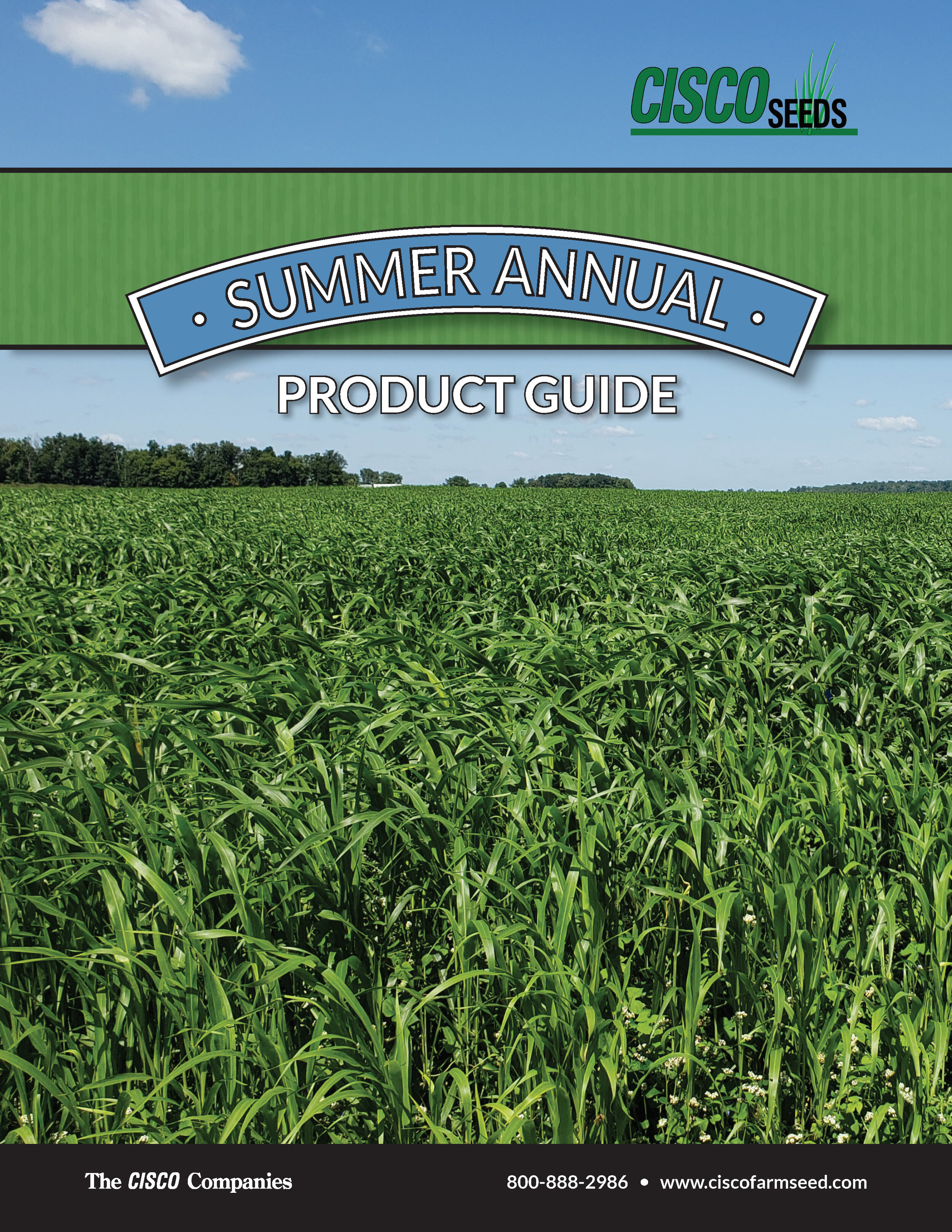 Summer Annual Trifold 2021 Cover Page.jpg