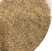 Enduro 423 AP Alfalfa Raw Seed