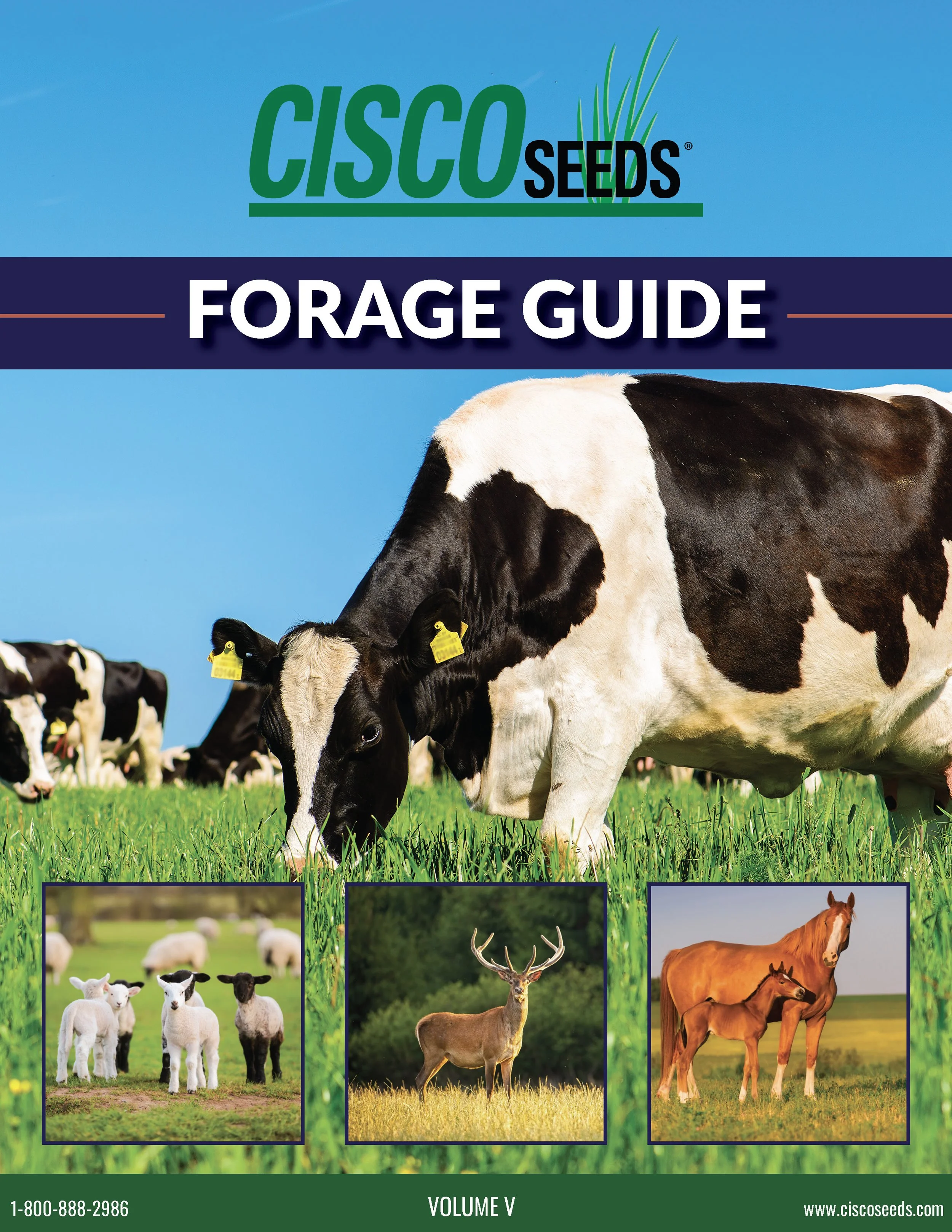 Forage Guide Vol. 5 2026 DIGITAL_Cover.jpg