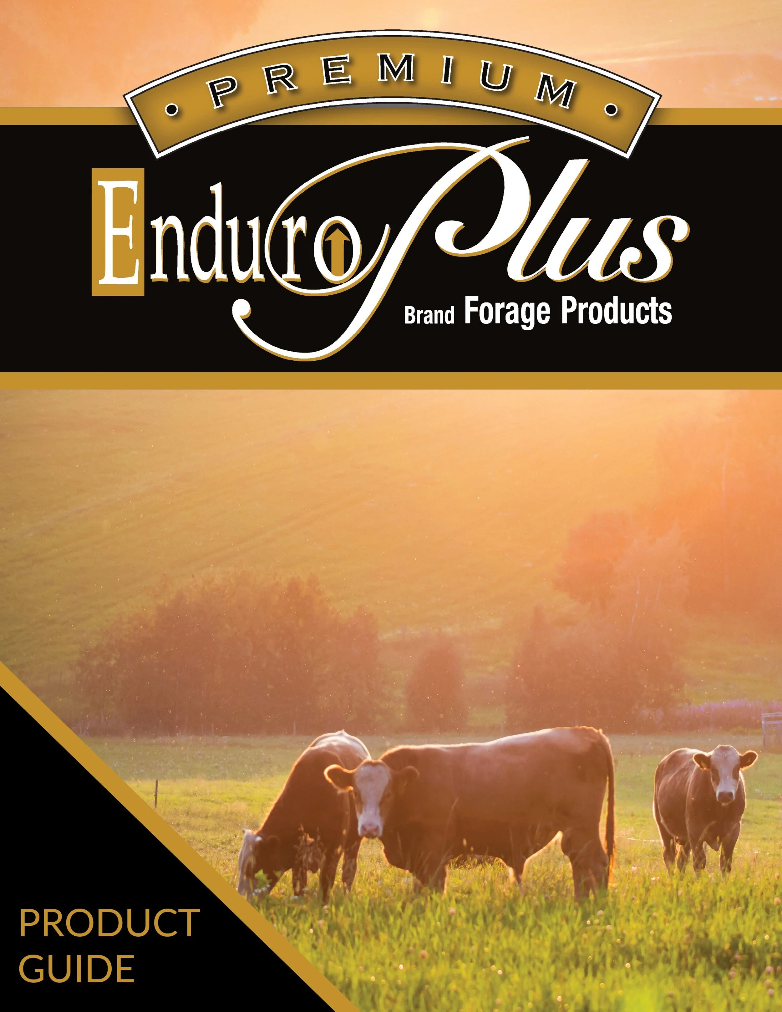 Enduro-Plus Brochure AUG 26 2025 Cover.jpg