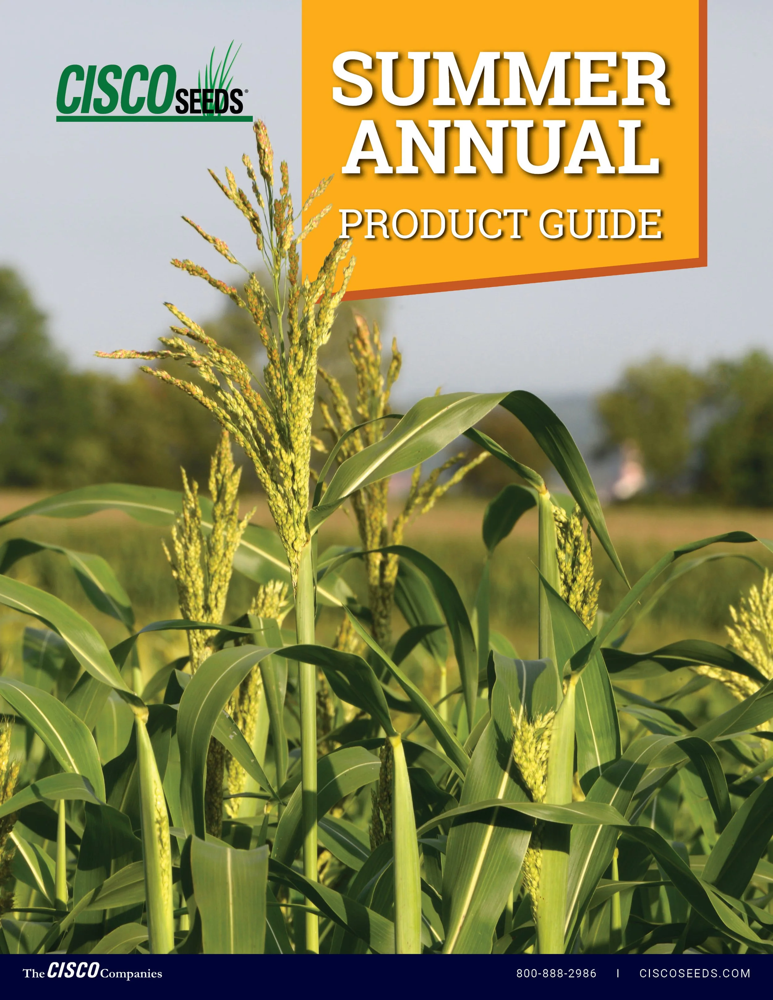 2026 Summer Annual Trifold Cover.jpg