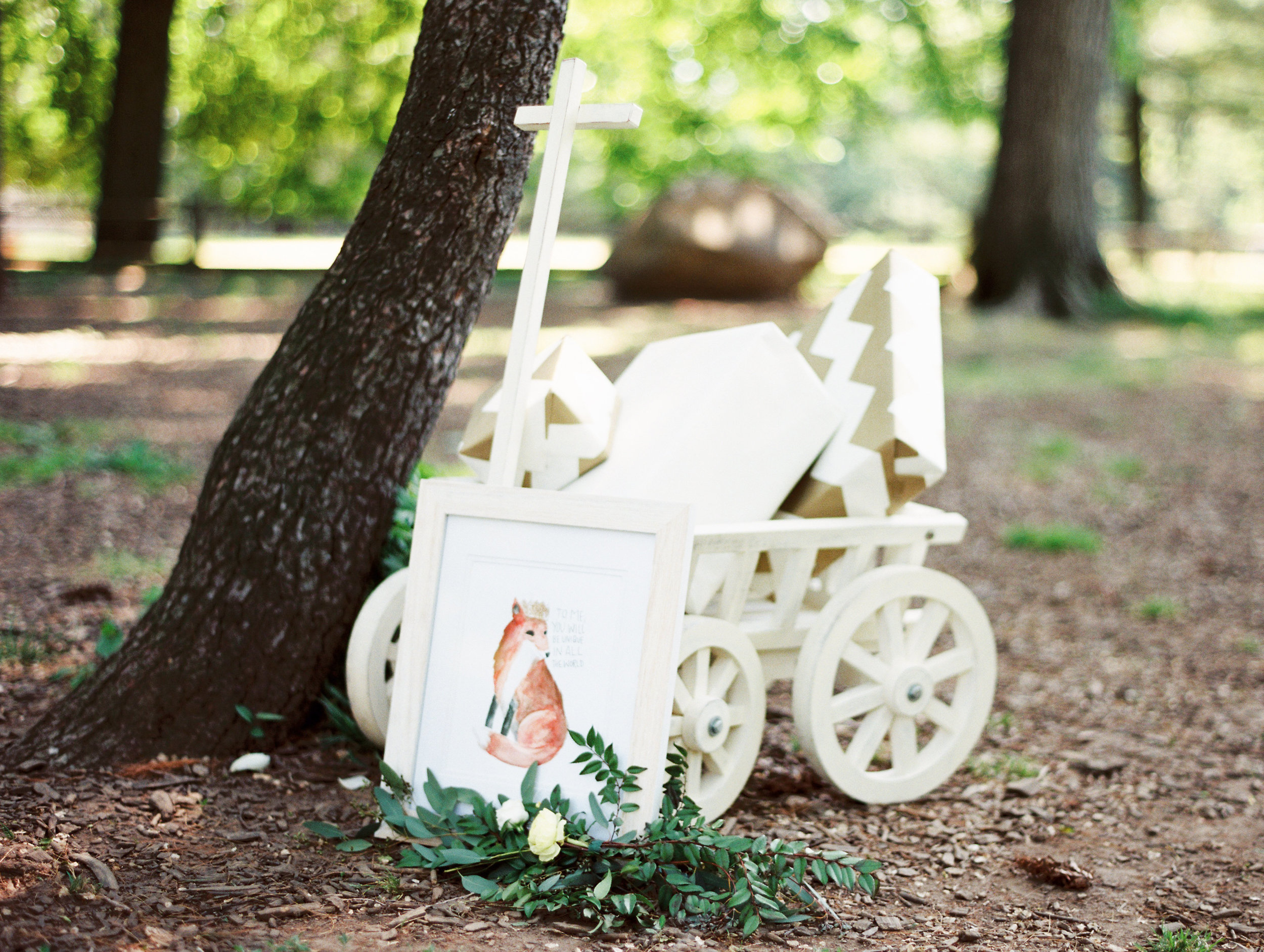 Le Petit Prince Baby Shower - White Wagon
