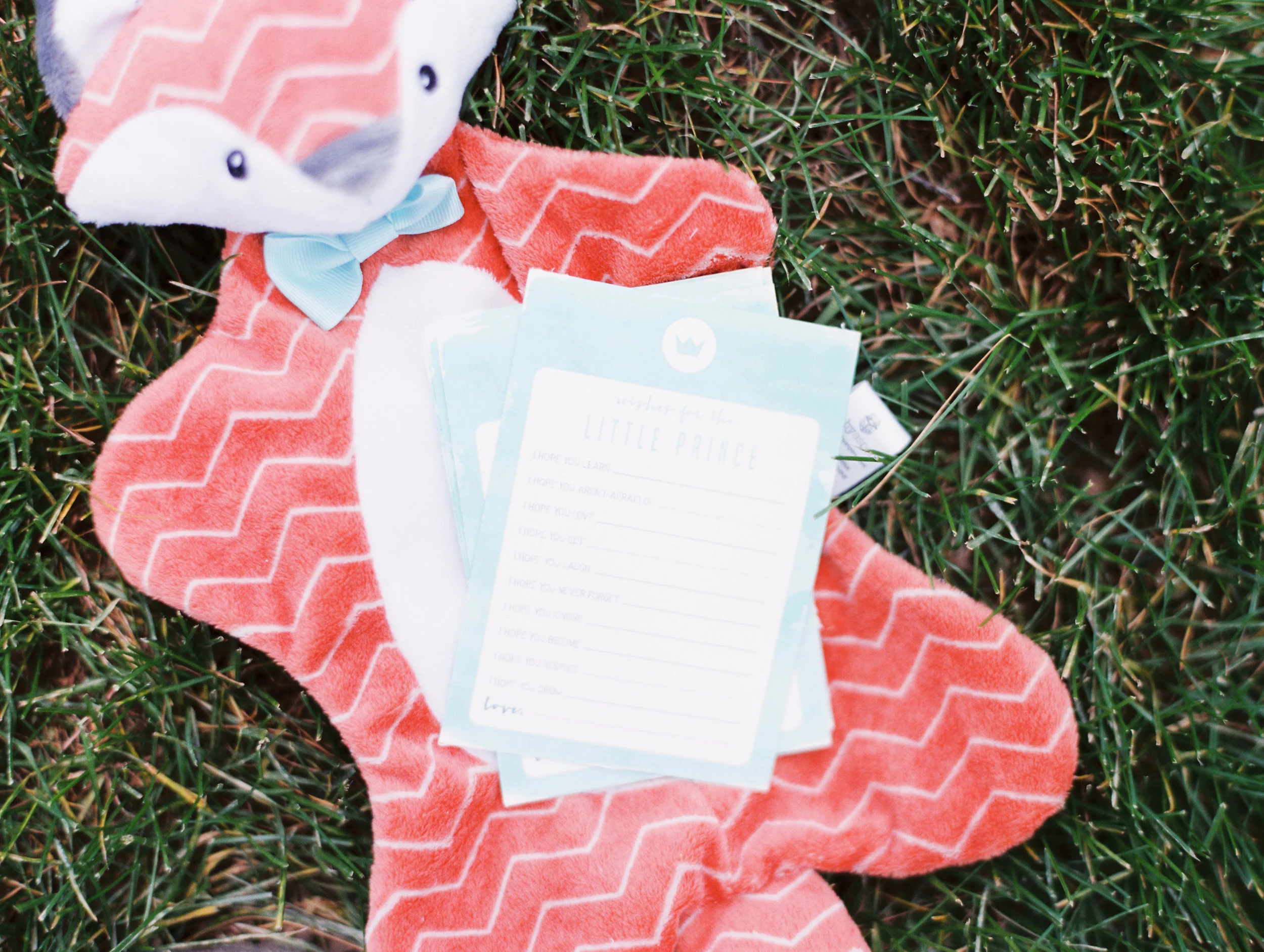 Le Petit Prince Baby Shower - Baby Shower Games
