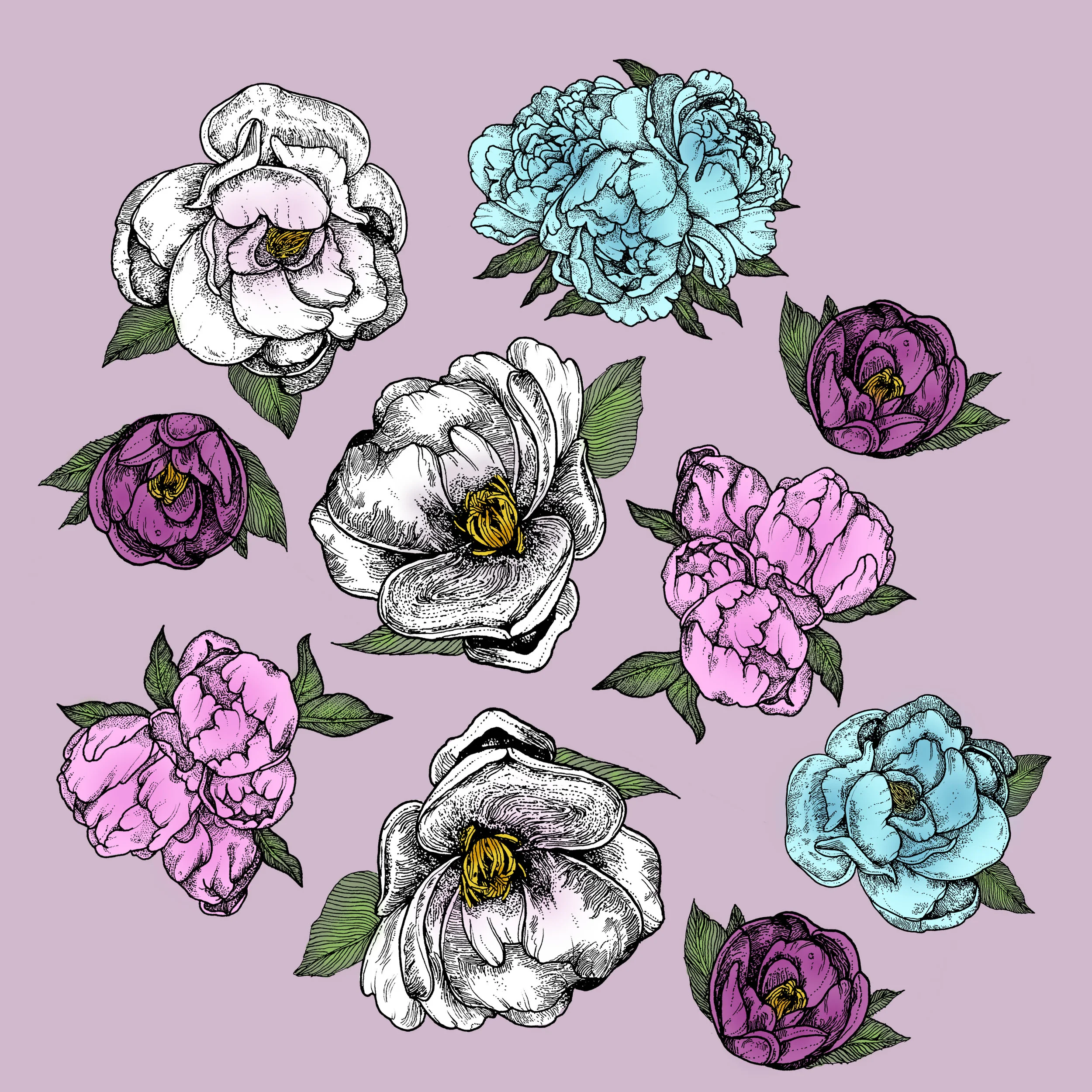 lavender.jpg