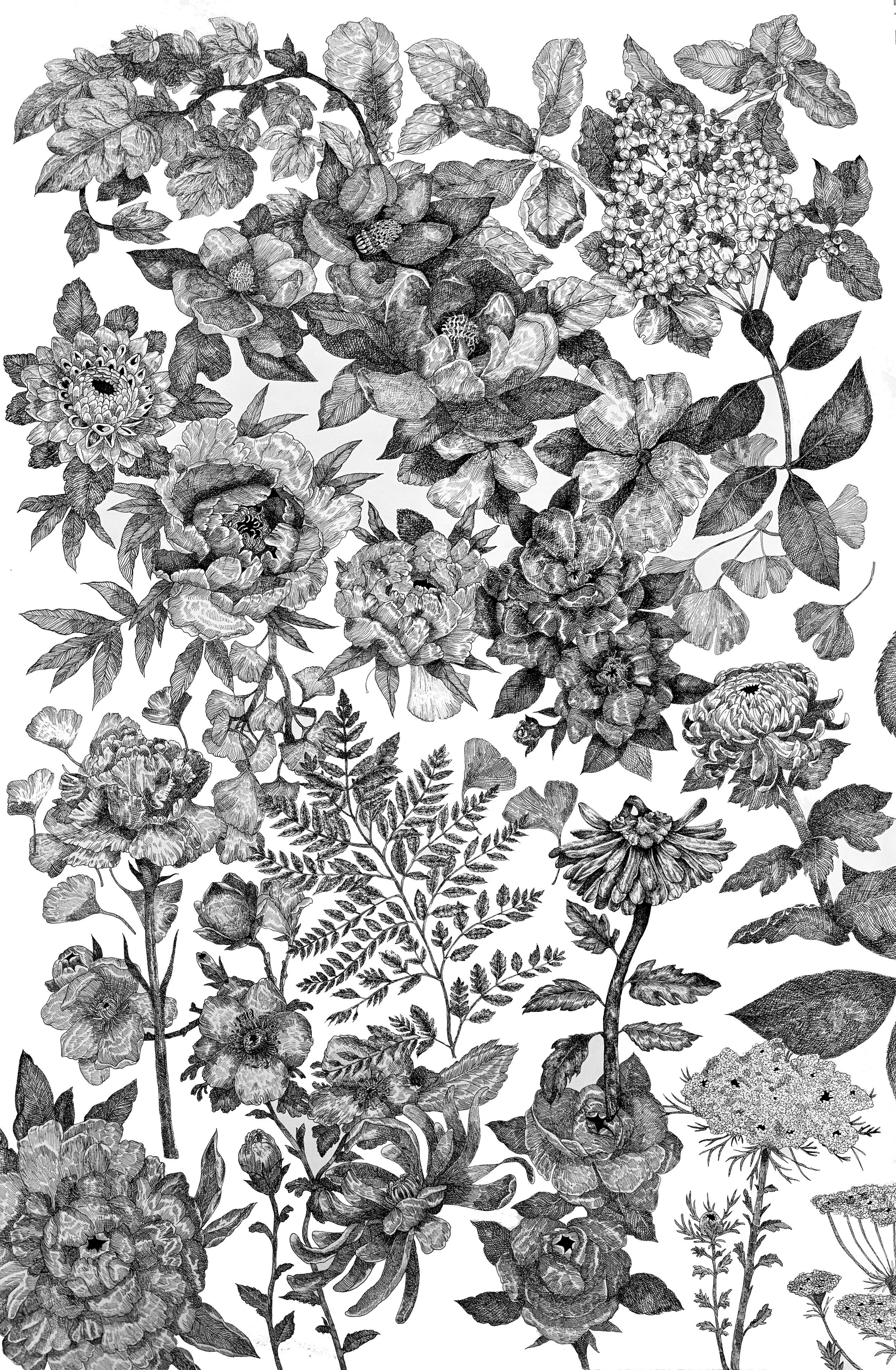 Botanical Drawing in Black and White