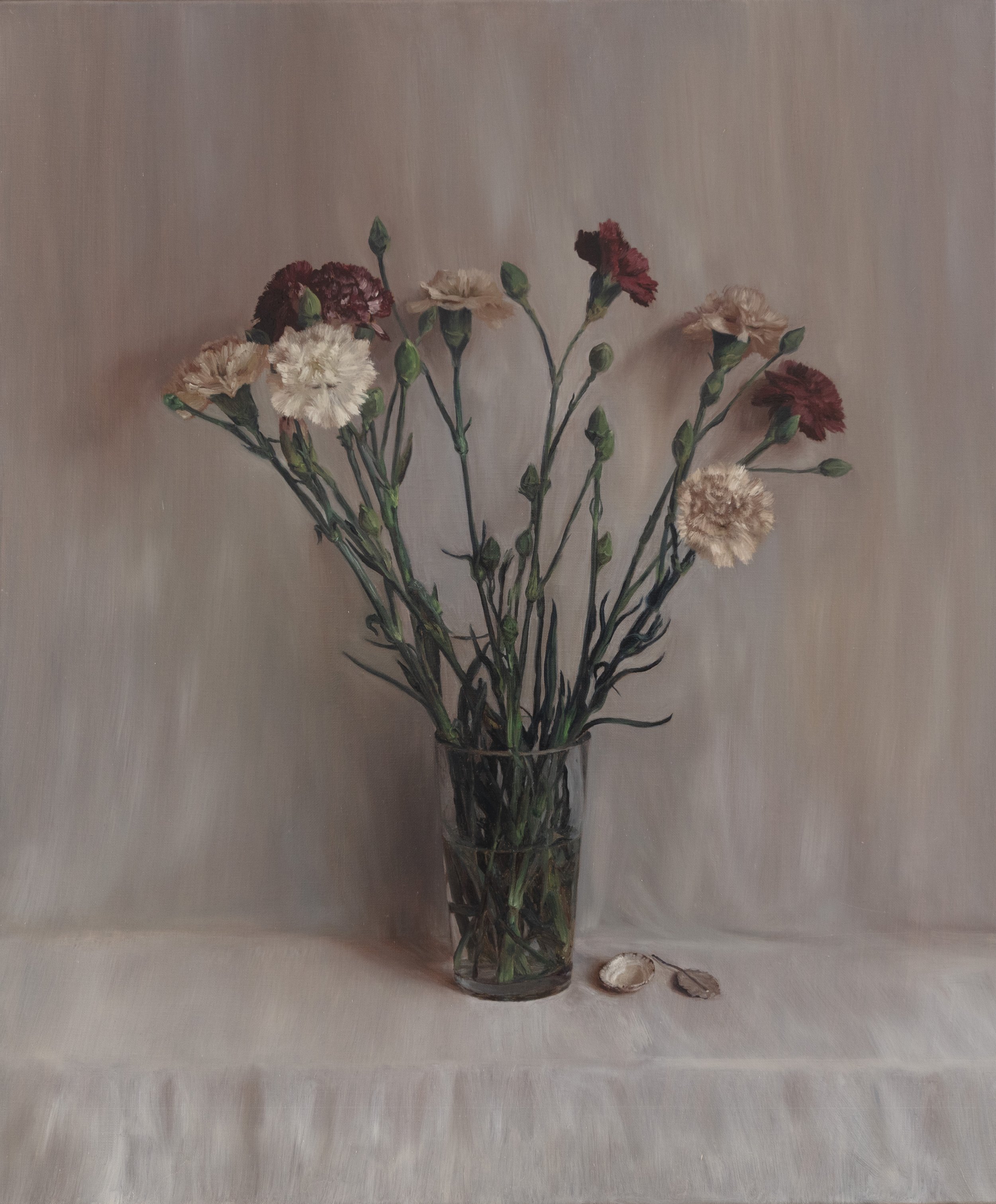 Carnations, Shell and Silver Leaf