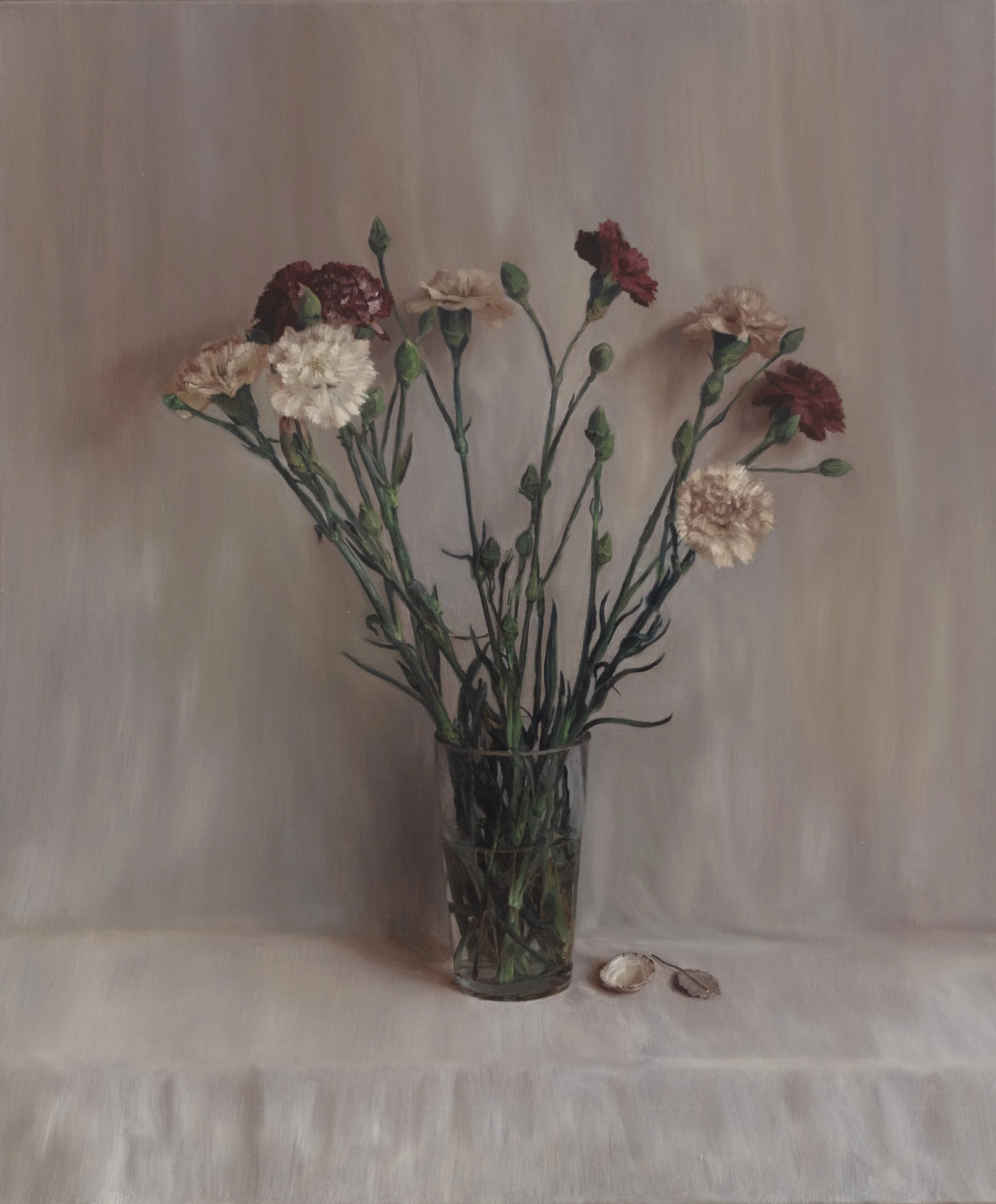 Carnations, Shell and Silver Leaf