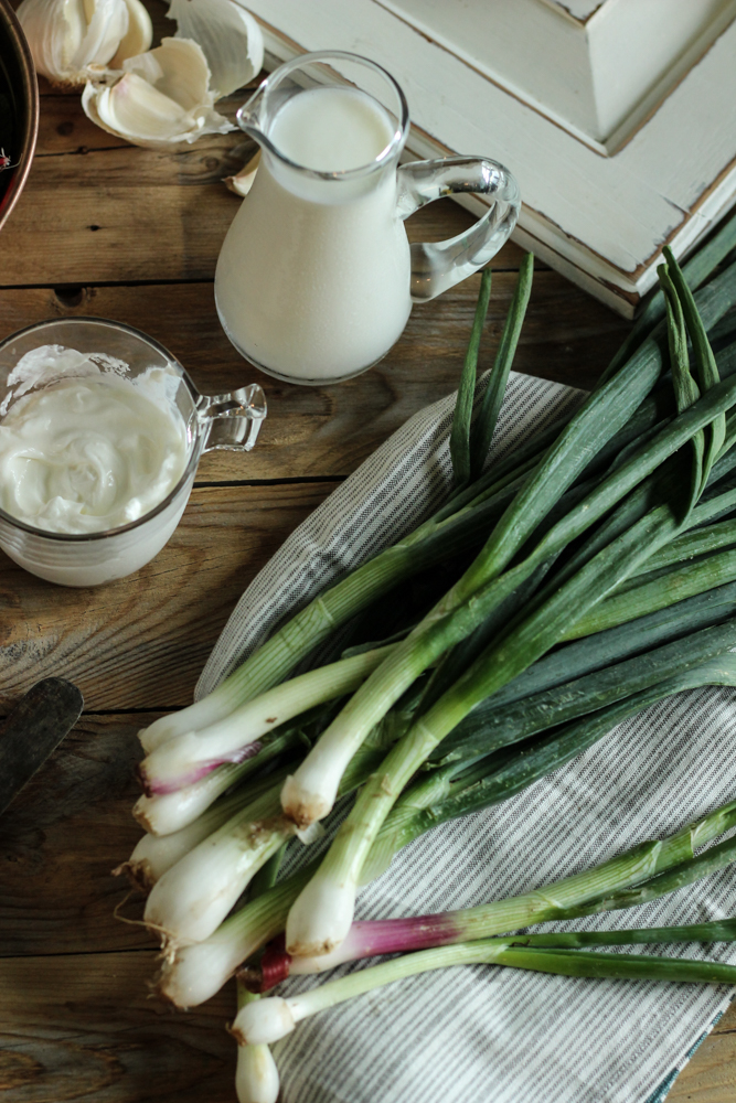 Spring Onion Buttermilk Ranch Dip {Pedantic Foodie}