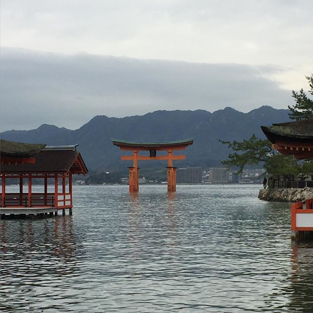 Beauty&amp;serenity #itsukushimashrine #厳島神社 #世界遺産