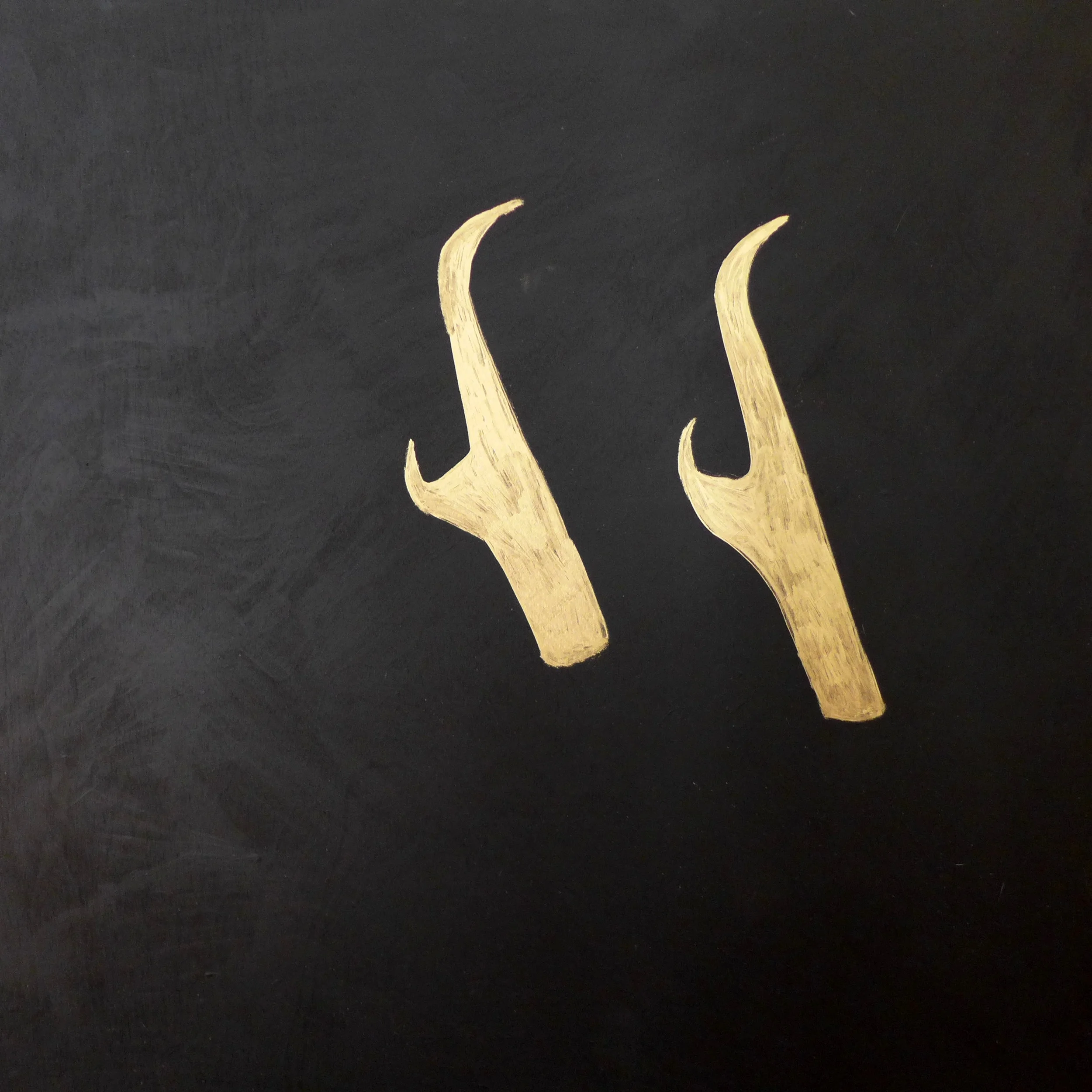 Study of the pronghorn