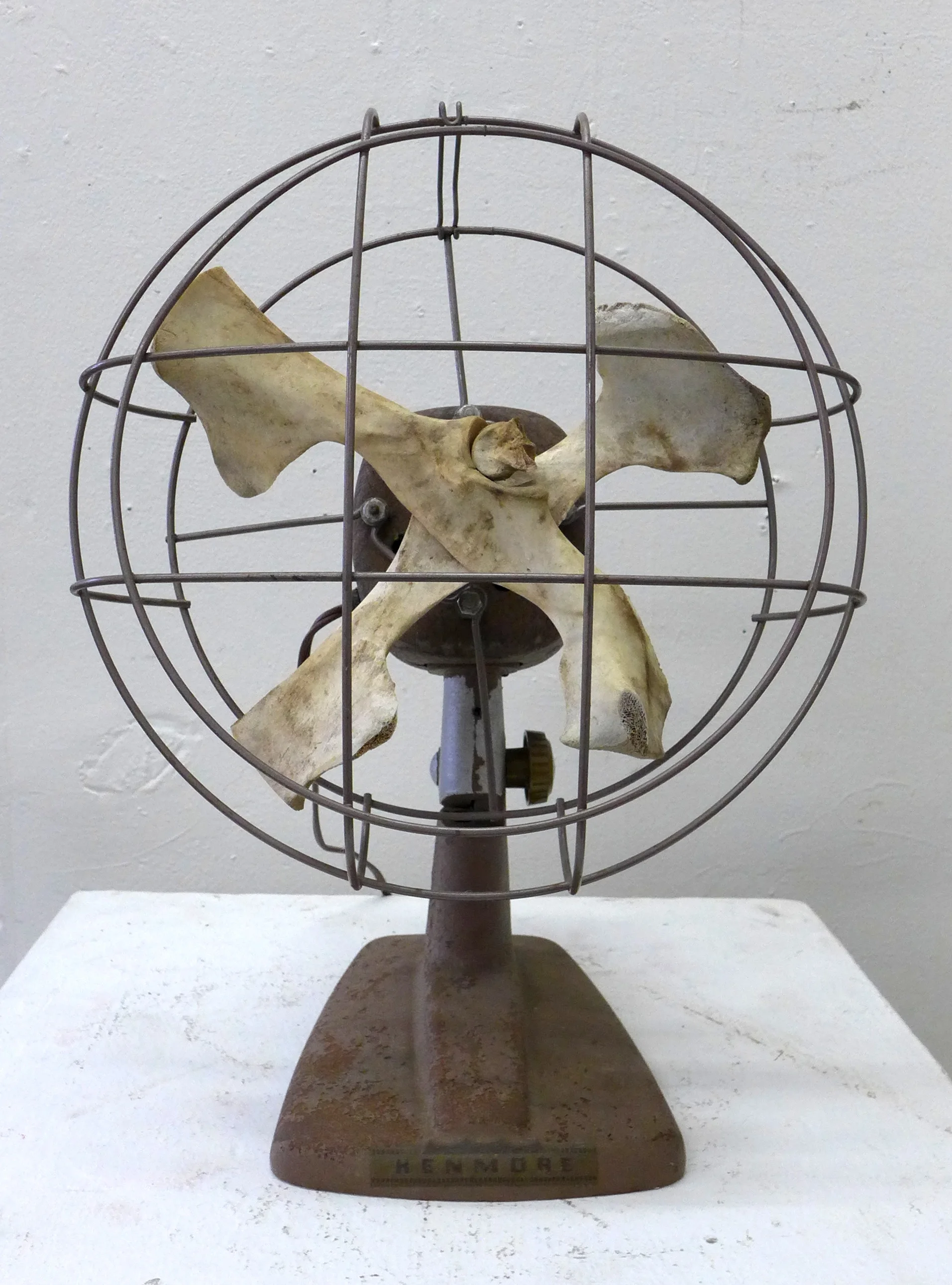 Bone Fan