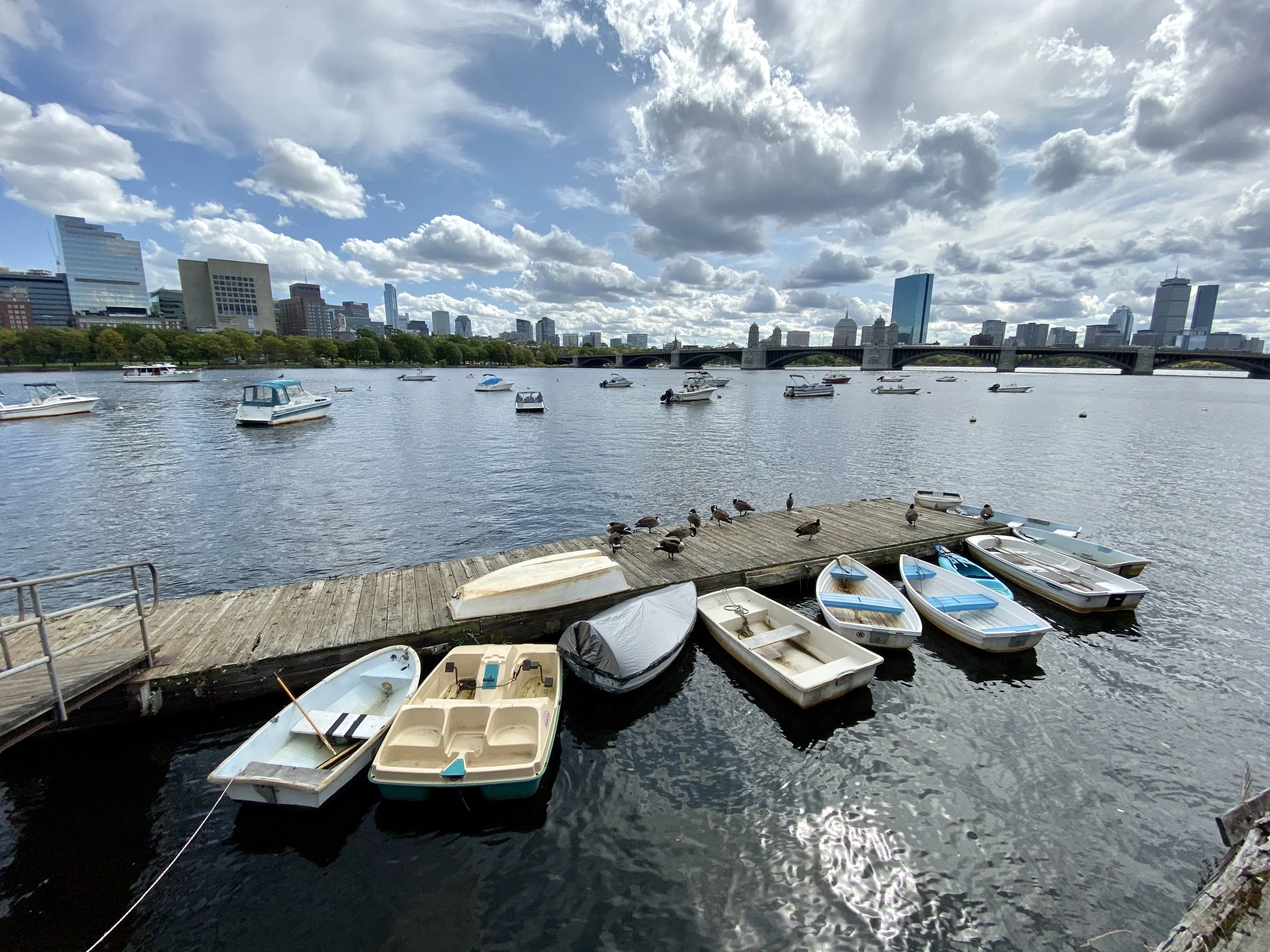 14mm f/2.4 ISO 20 “Ultra-wide”