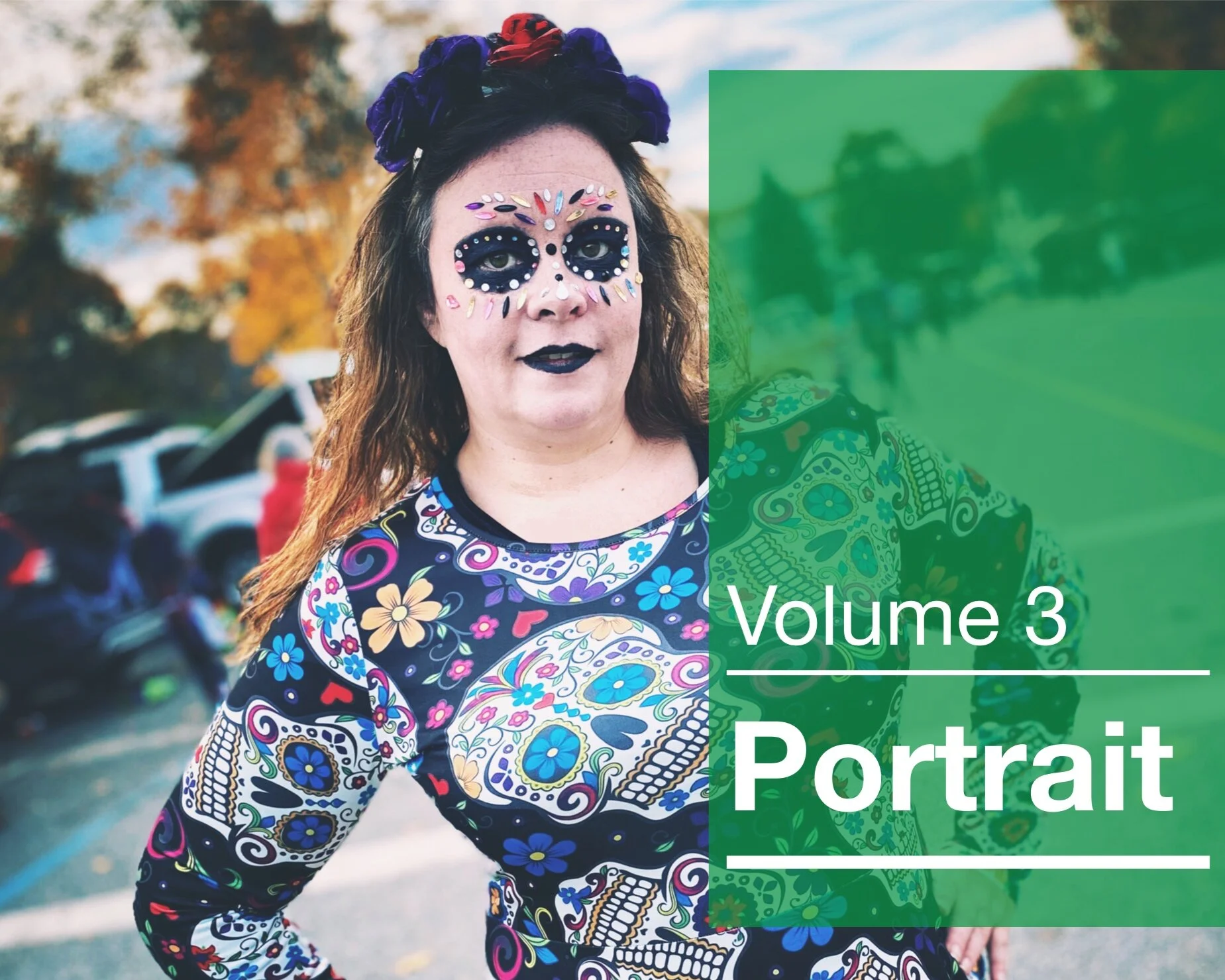 Portrait Volume 3 - Snapseed Preset Pack