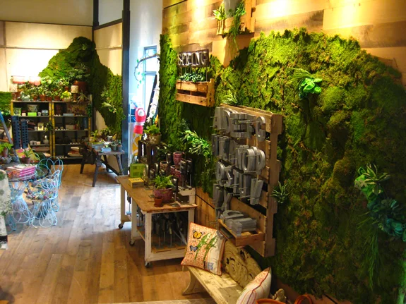 Going Green
